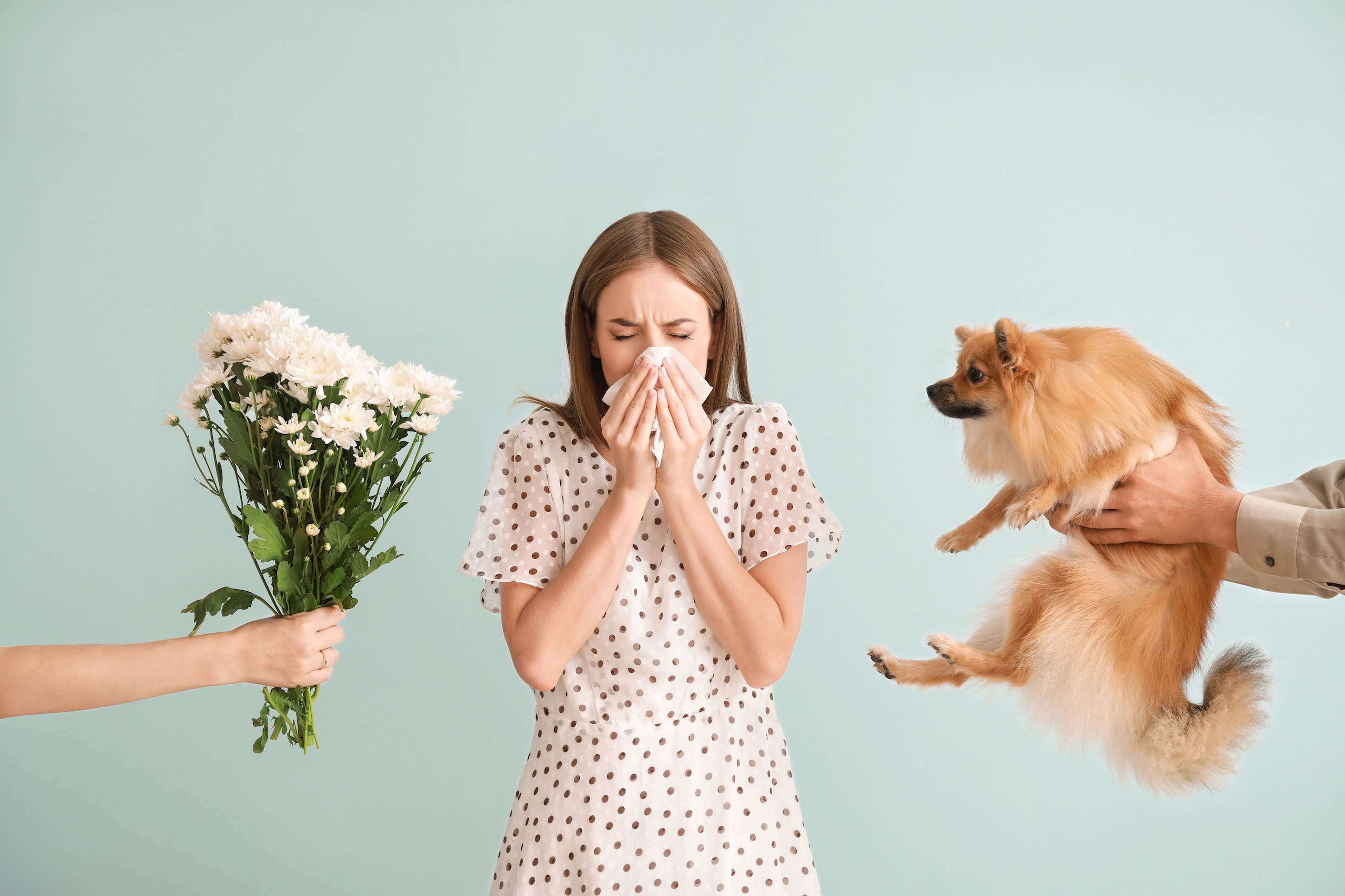 Алергічний риніт: основні прояви алергічної реакції 