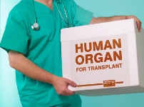 1309173275 transplantaciya