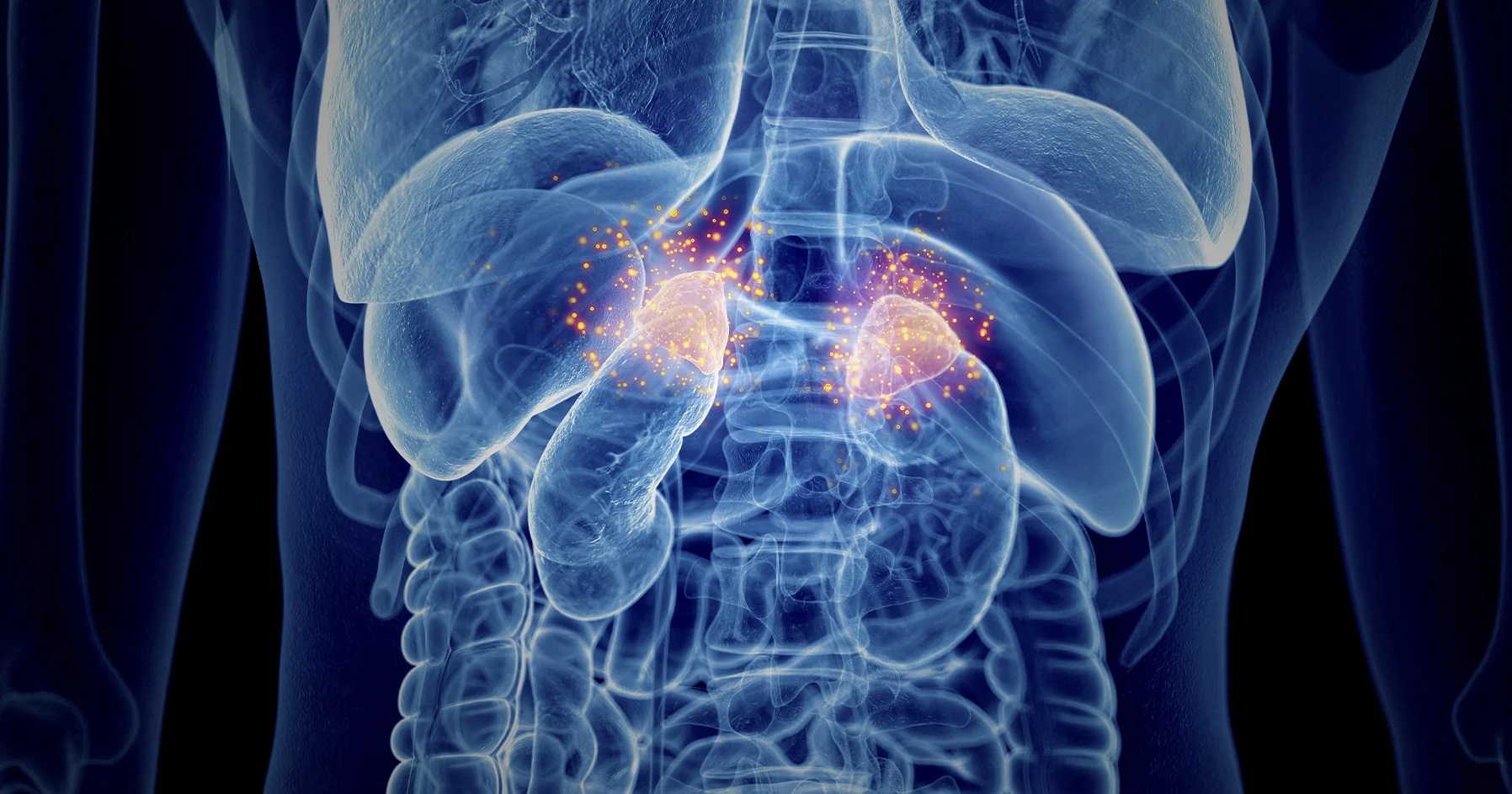 Хронічна втома і слабкість: що приховує адреналова недостатність