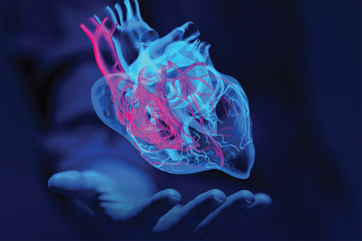 Гіпертрофічна кардіоміопатія: що спричиняє потовщення м’язів серця?