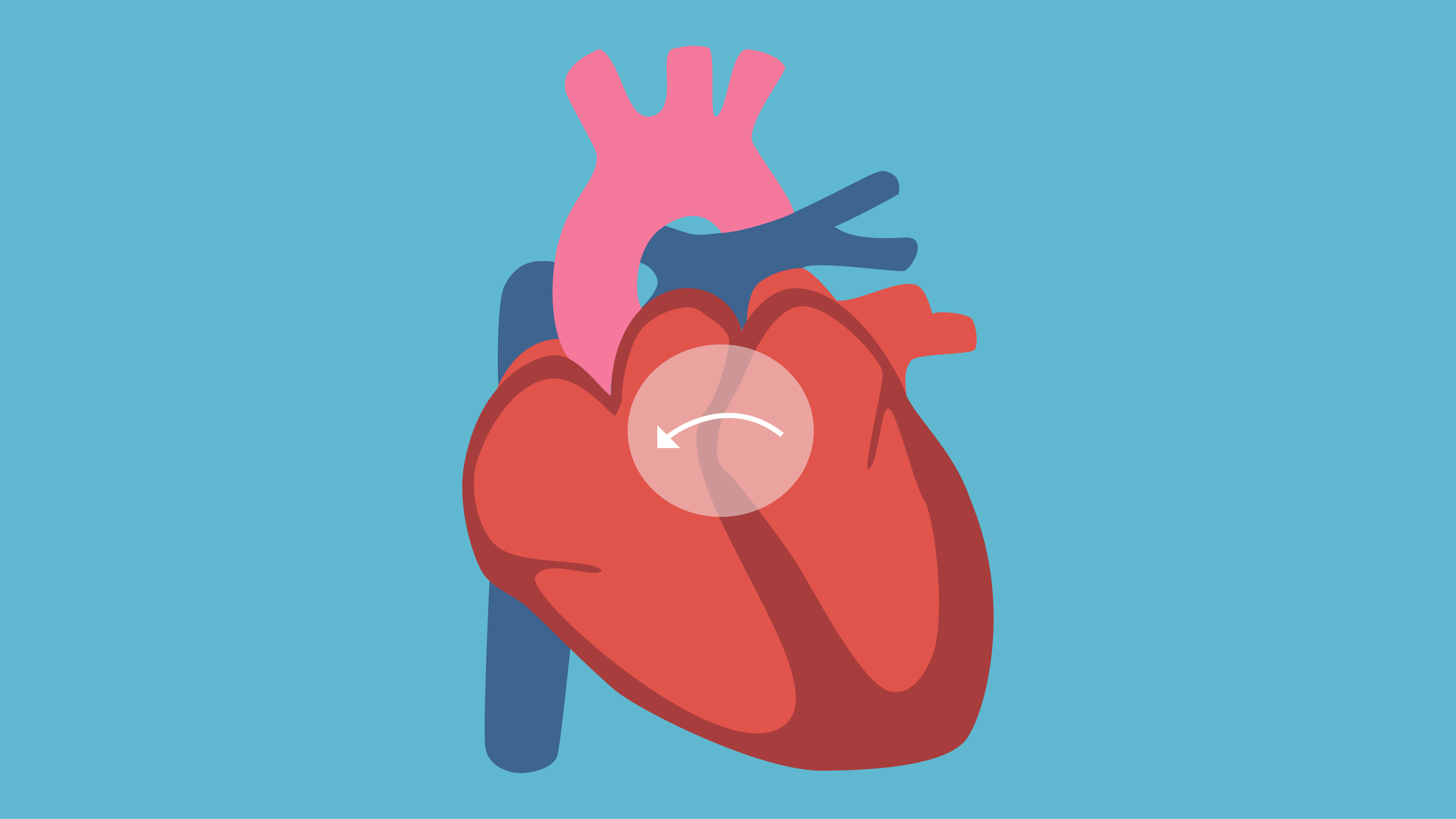 Які симптоми вказуватимуть на розвиток вродженої вади серця?