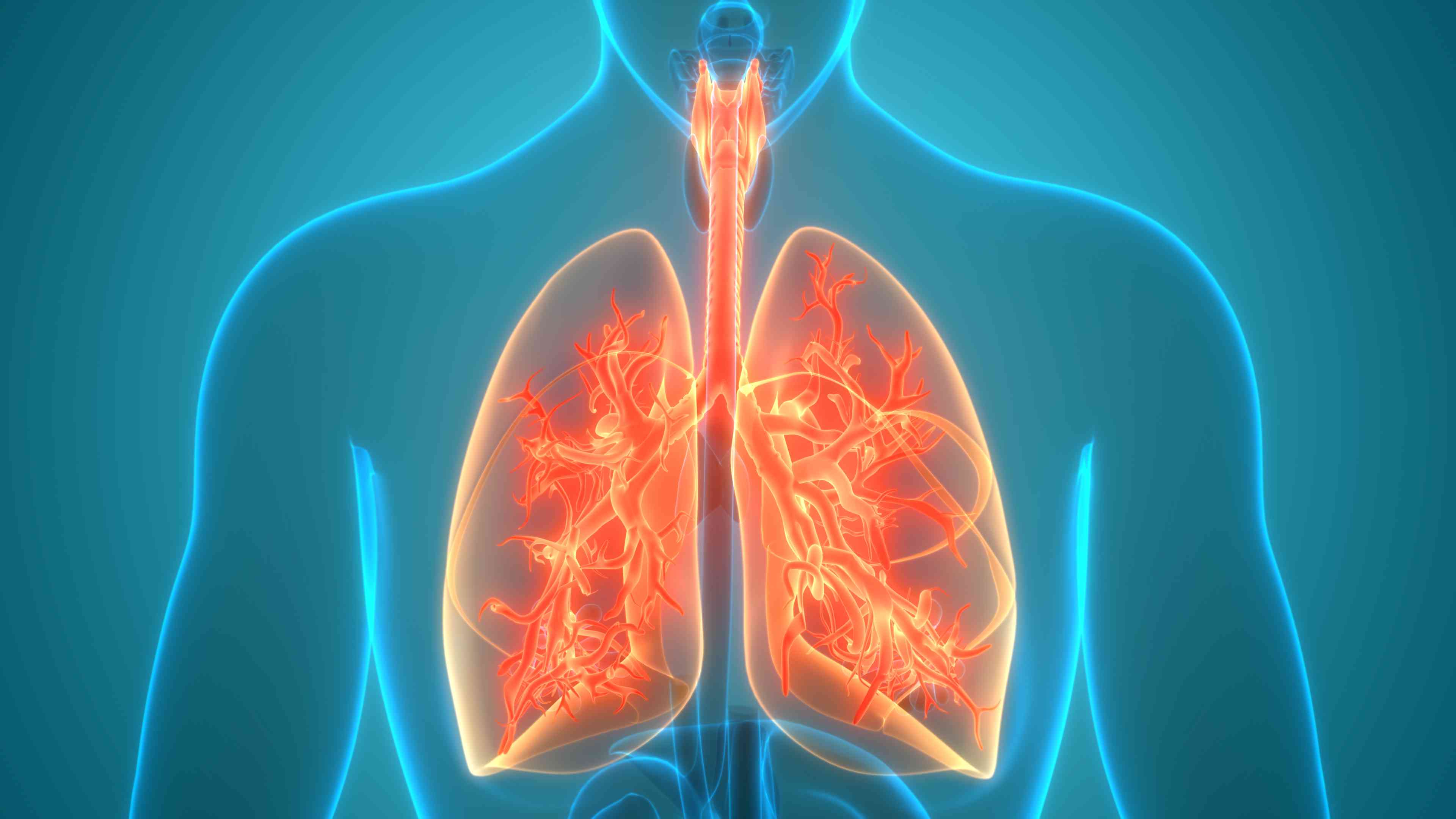 Муковісцидоз легень: основні симптоми генетичного захворювання