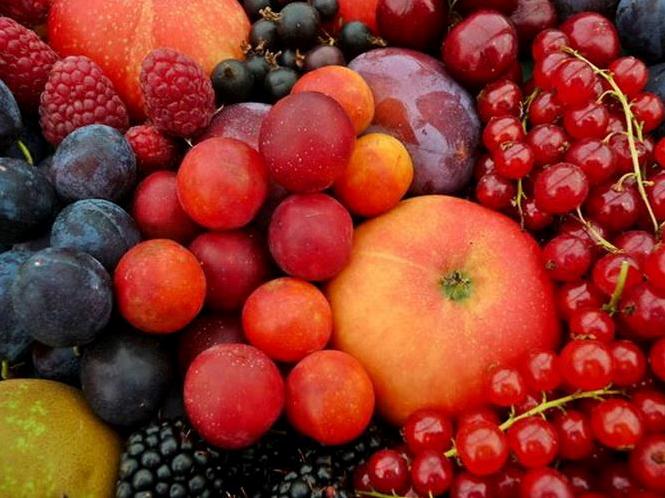 ягодные пасты «Жидкие фрукты»