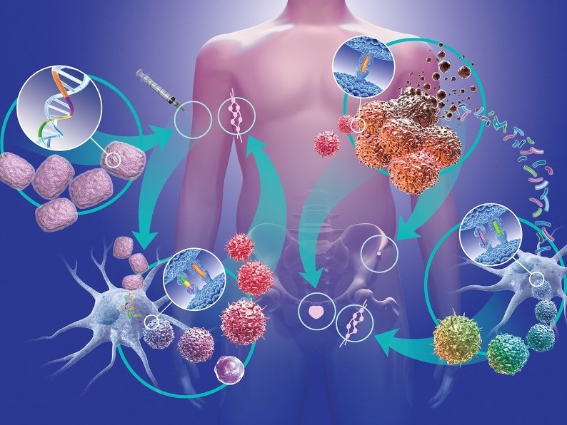 Будущее регенеративной медицины — лечение с помощью стволовых клеток