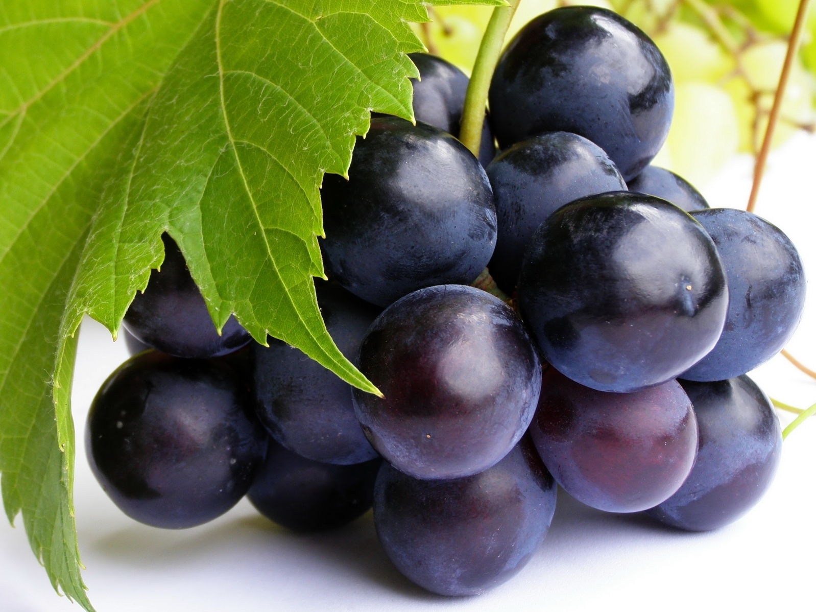 Целебный состав винограда